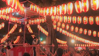 5edc4bc1042f4aa8fb12c4a3d3c59c